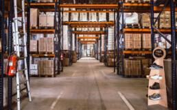 RAYS: UNA HISTORIA DE &Eacute;XITO DESDE 1993